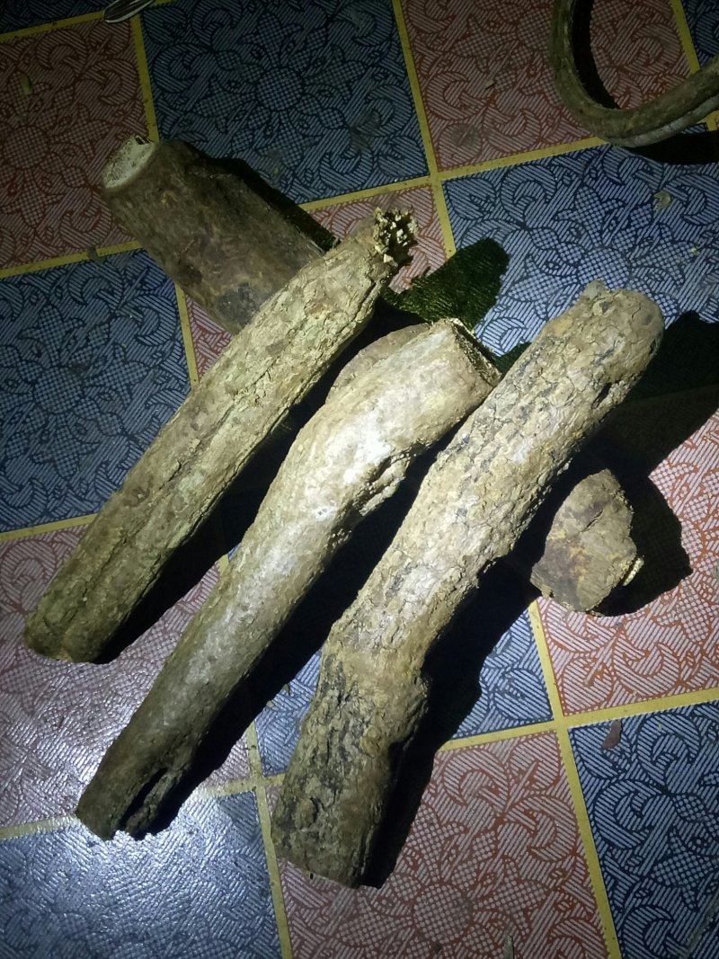 野生通关藤有大有小，木本药材质量保证，数量有限看上的联系