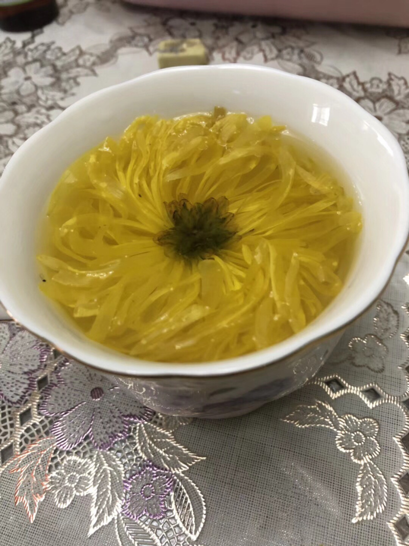 金丝黄菊苗菊花苗金丝菊苗现货秒发！