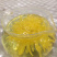 金丝黄菊苗菊花苗金丝菊苗现货秒发！