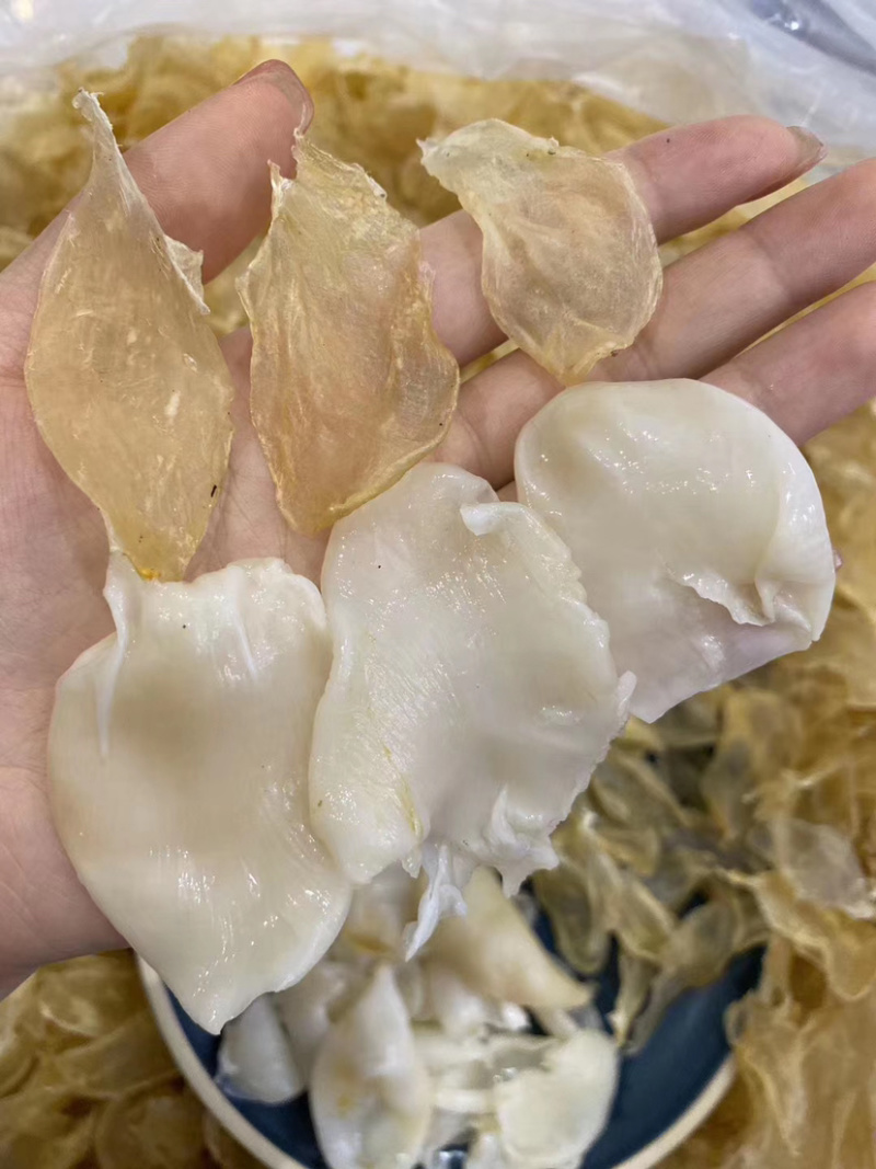 鸡蛋胶花胶干货黄花胶鱼肚小米鱼胶滋补胶原蛋白炖汤鱼胶