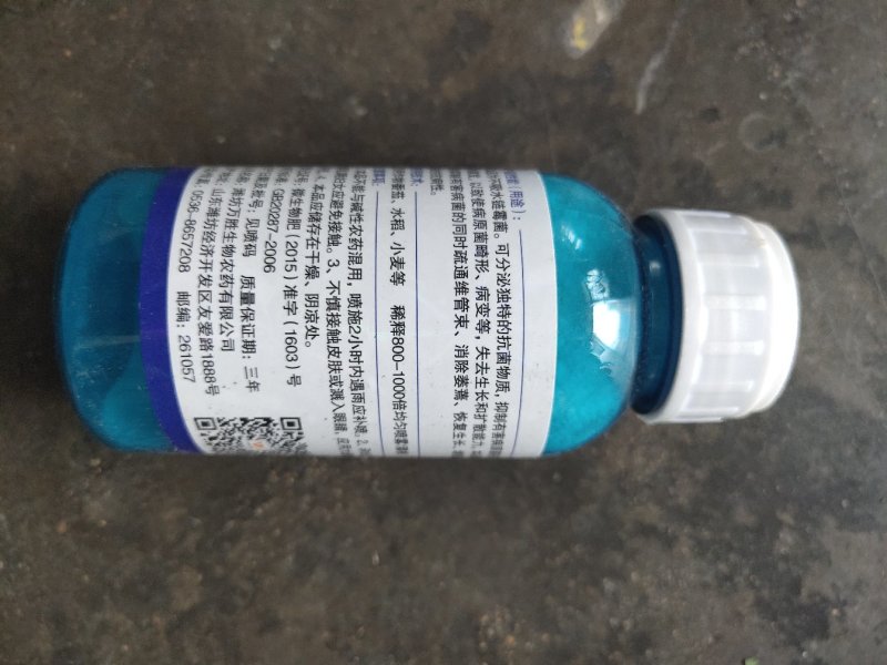 万胜武夷不吸水链霉菌细菌性病害角斑病青枯病微生物菌剂