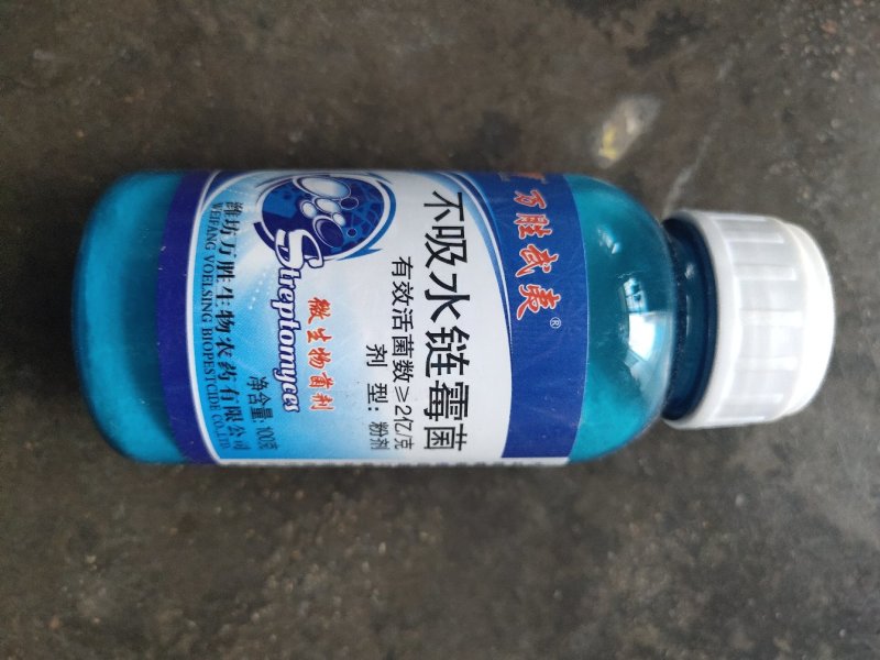 万胜武夷不吸水链霉菌细菌性病害角斑病青枯病微生物菌剂