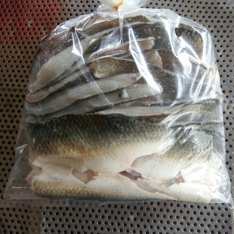 新鲜土鲮鱼肉新鲜冷冻鱼肉下单即宰冷链发货24小时到