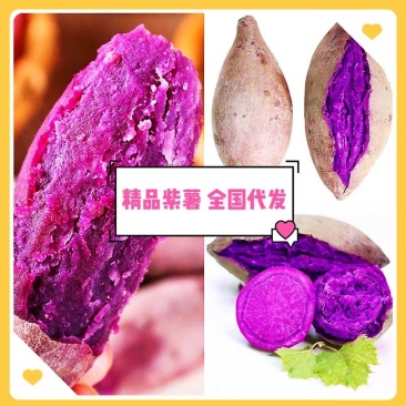湖北红宜城市紫薯,2两以上,口感好,一手货源可供全国市场