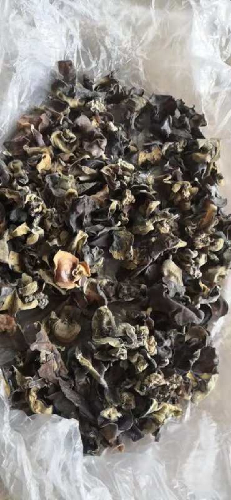 野生木耳现货20吨