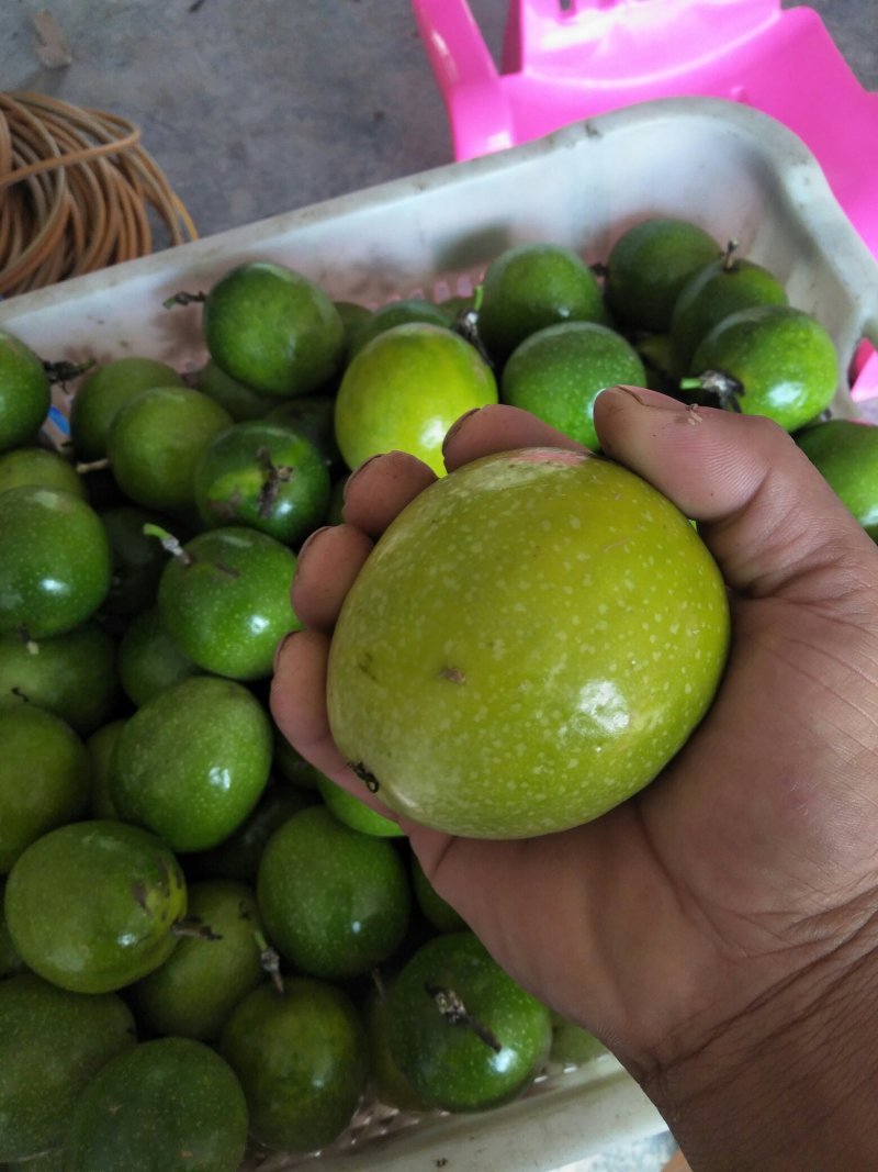 黄金百香果