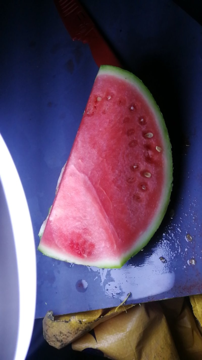 精品美都西瓜，大棚西瓜，果形好，脆甜多汁