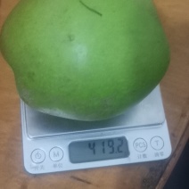 梨