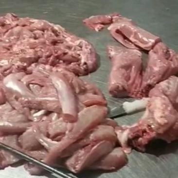 兔头，兔肉，白条兔肉，及分割兔产品全国各地均可发货