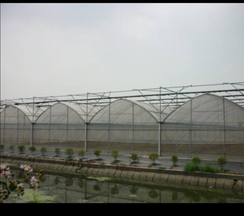 土地，连体大棚，连栋温室，81L大棚，每亩7百元，