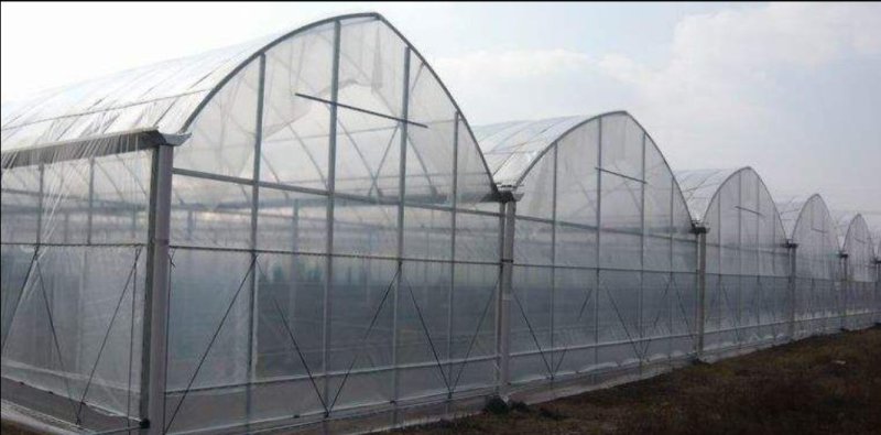 土地，连体大棚，连栋温室，81L大棚，每亩7百元，