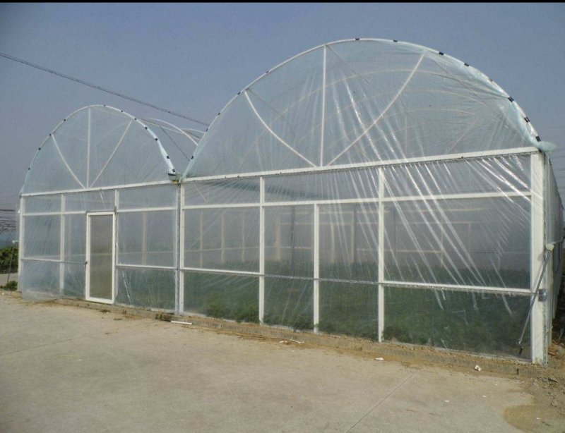 土地，连体大棚，连栋温室，81L大棚，每亩7百元，
