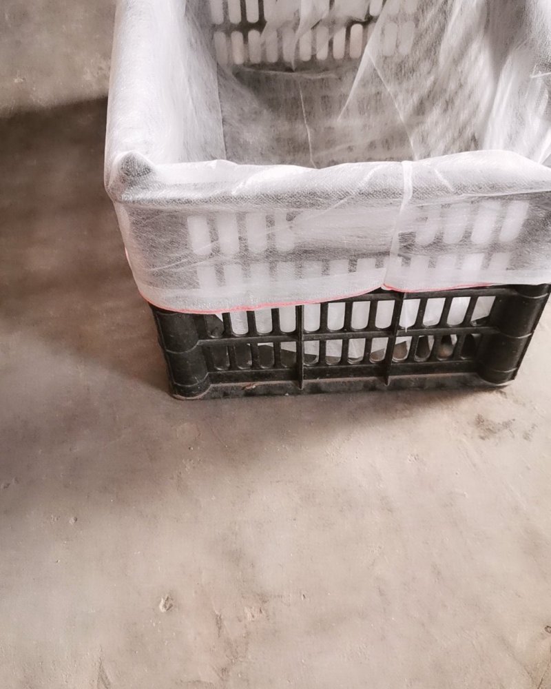 无纺布袋，水果筐内袋，批发量大，要货的老板一速度连系。