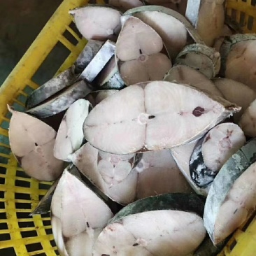 海南文昌马鲛鱼，肉多口感好