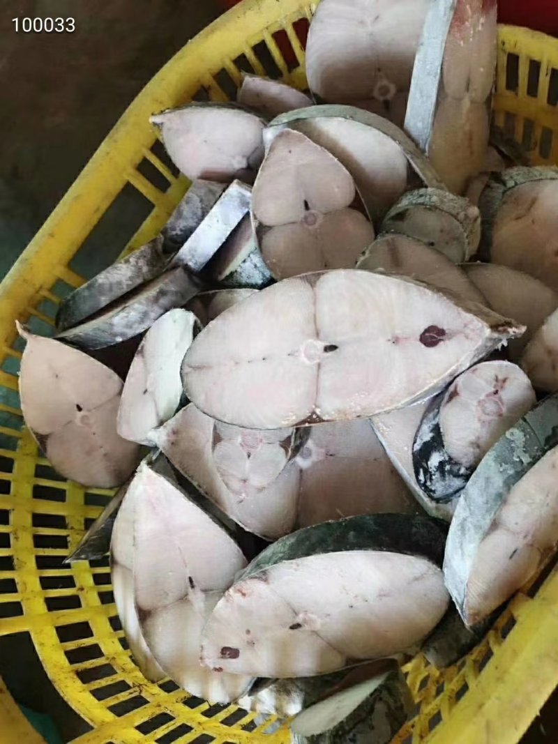 海南文昌马鲛鱼，肉多口感好