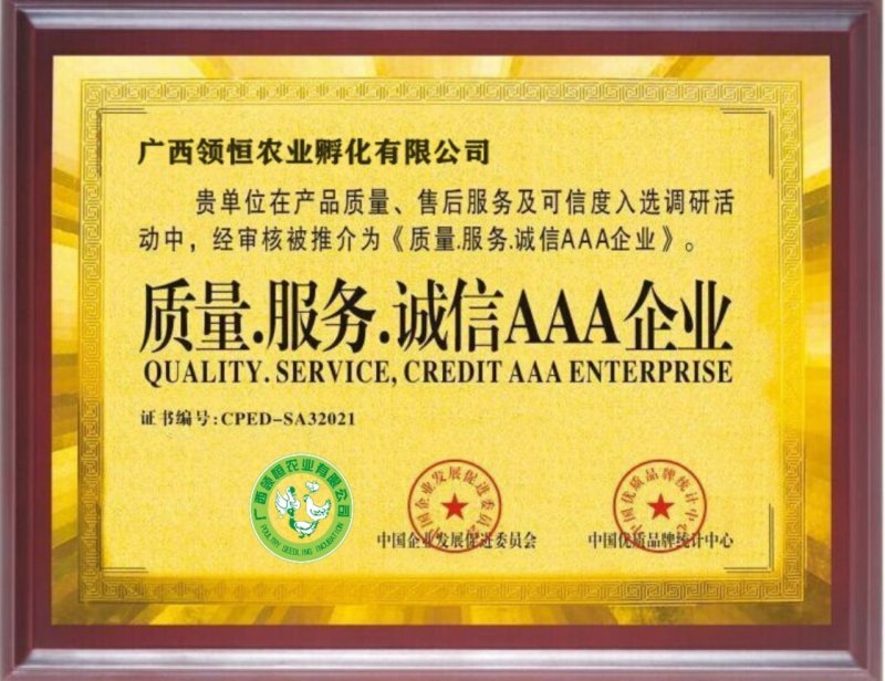 火鸡苗青铜火鸡苗【提供产、供、销一条龙服务】