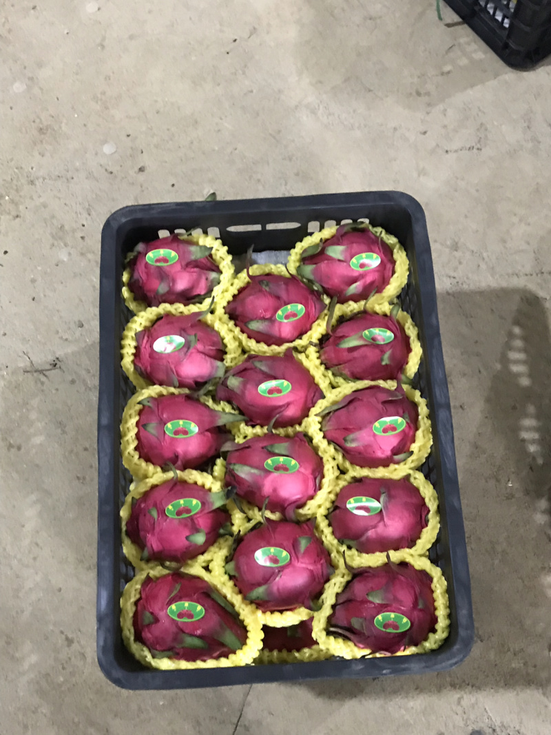 金都一号，红宝龙，大量上市中