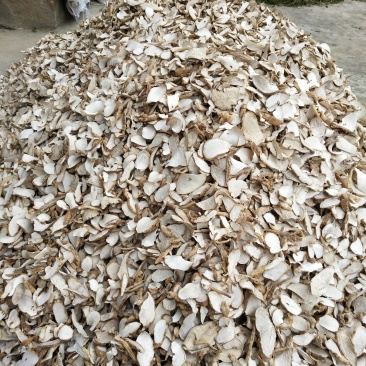 中药材/中药材根茎类/隔山消