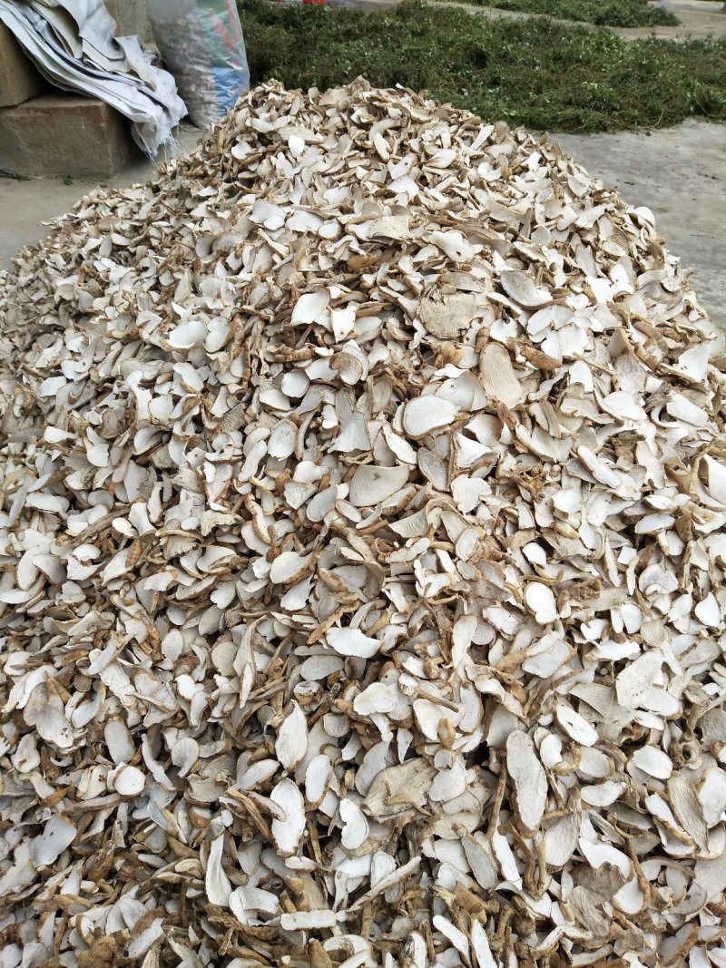 中药材/中药材根茎类/隔山消
