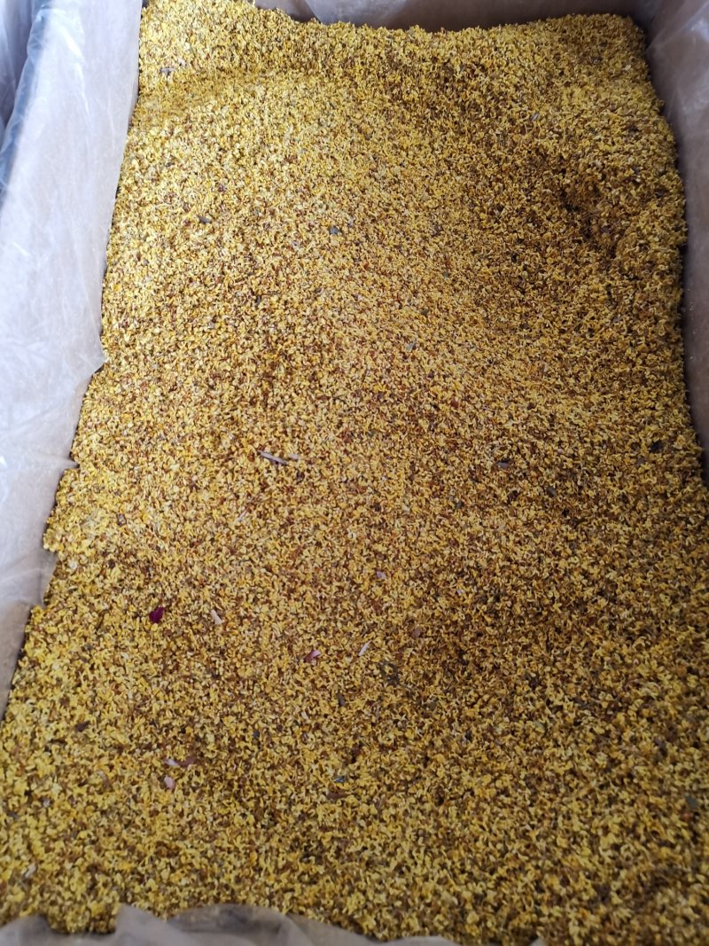桂花茶桂林新货桂花茶散装袋装产地直销可批发零售