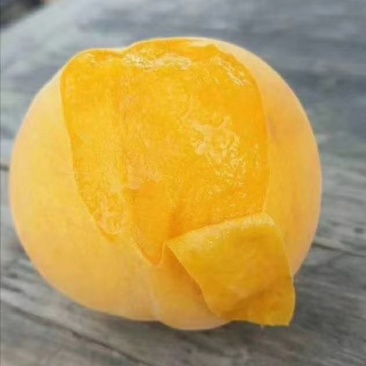 鲜食黄桃