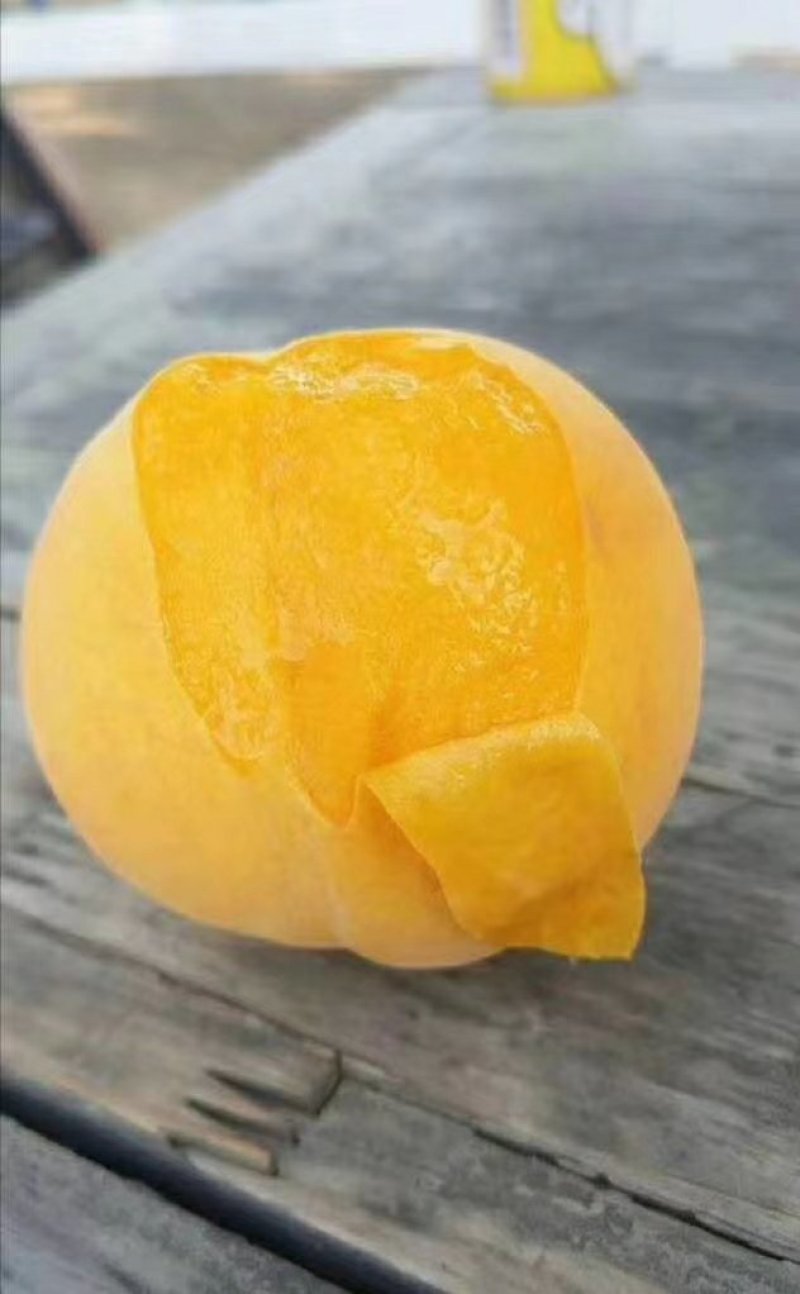鲜食黄桃