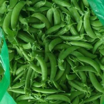 精品甜豆