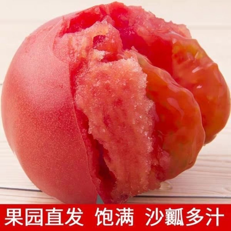 山东沙瓤西红柿电商一件代发社区团购超市供应链