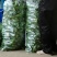 新鲜泡椒质量好价格便宜有需要的联系