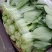 本地小油菜，质量好量大，还有各种蔬菜，欢迎采购