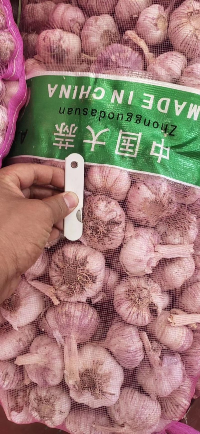 河南周口一手货源扒皮大蒜量大从优欢迎采购可视频看货热卖