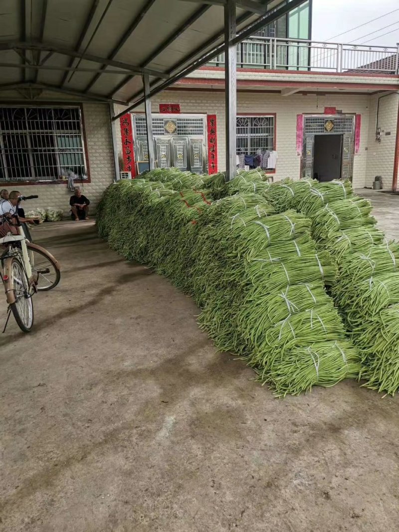 长豆角，长度三十厘米️️️