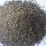 牛蒡子甘肃野生牛蒡子批发量大优惠
