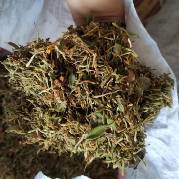 金银花