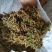 金银花