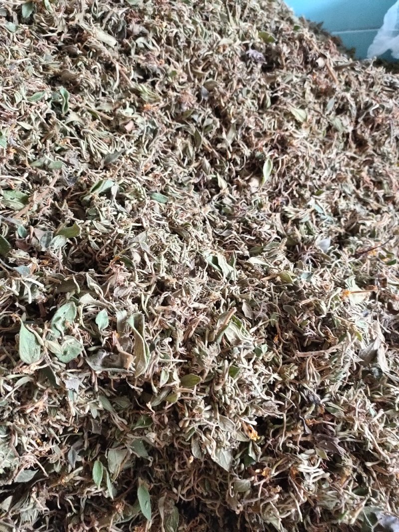 金银花