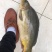裸鲤鱼苗，无粼鲤鱼苗，好养快大，苗场直销
