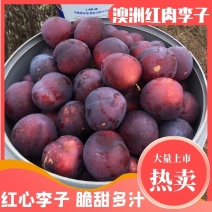 澳洲红李子红心李货量充足价格美丽