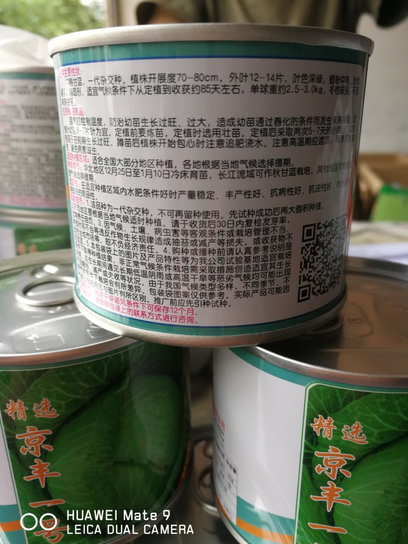 京丰一号甘蓝，中熟。一代杂种。