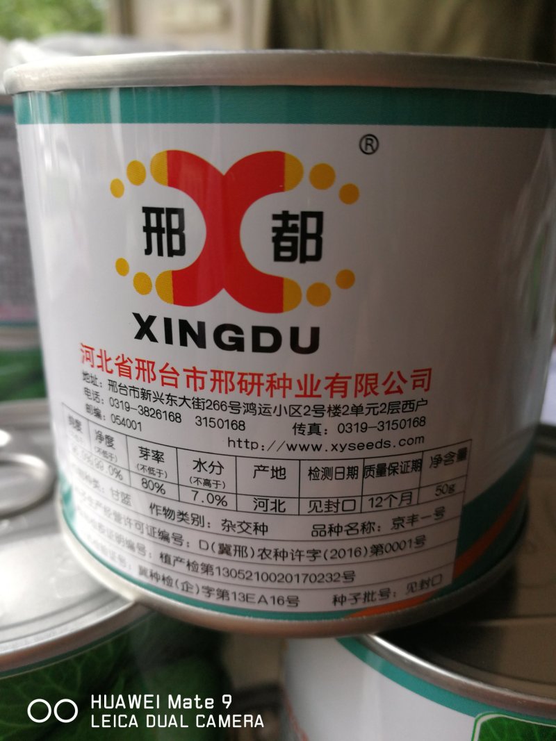 京丰一号甘蓝，中熟。一代杂种。