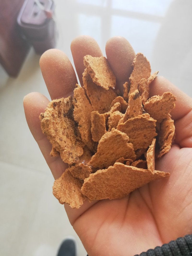 厂家直销玉米油饼玉米胚牙提油后的副产品即为玉米胚芽饼粕，