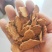 厂家直销玉米油饼玉米胚牙提油后的副产品即为玉米胚芽饼粕，