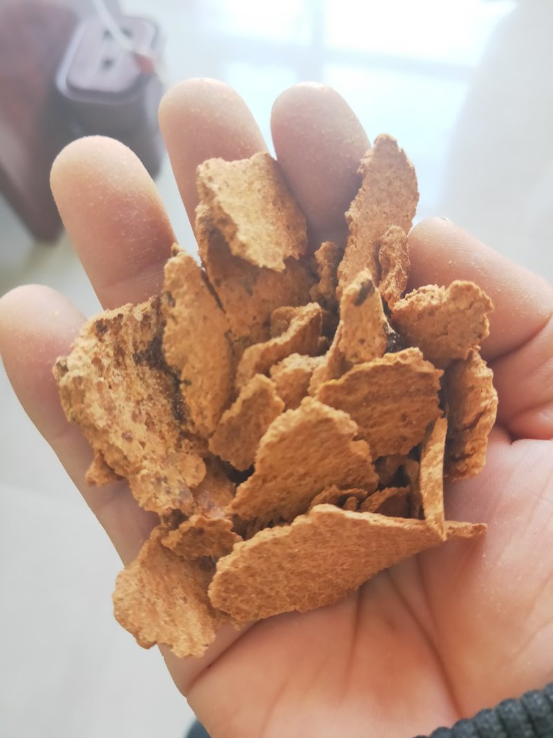 厂家直销玉米油饼玉米胚牙提油后的副产品即为玉米胚芽饼粕，