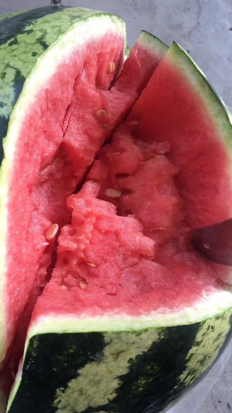 甜王