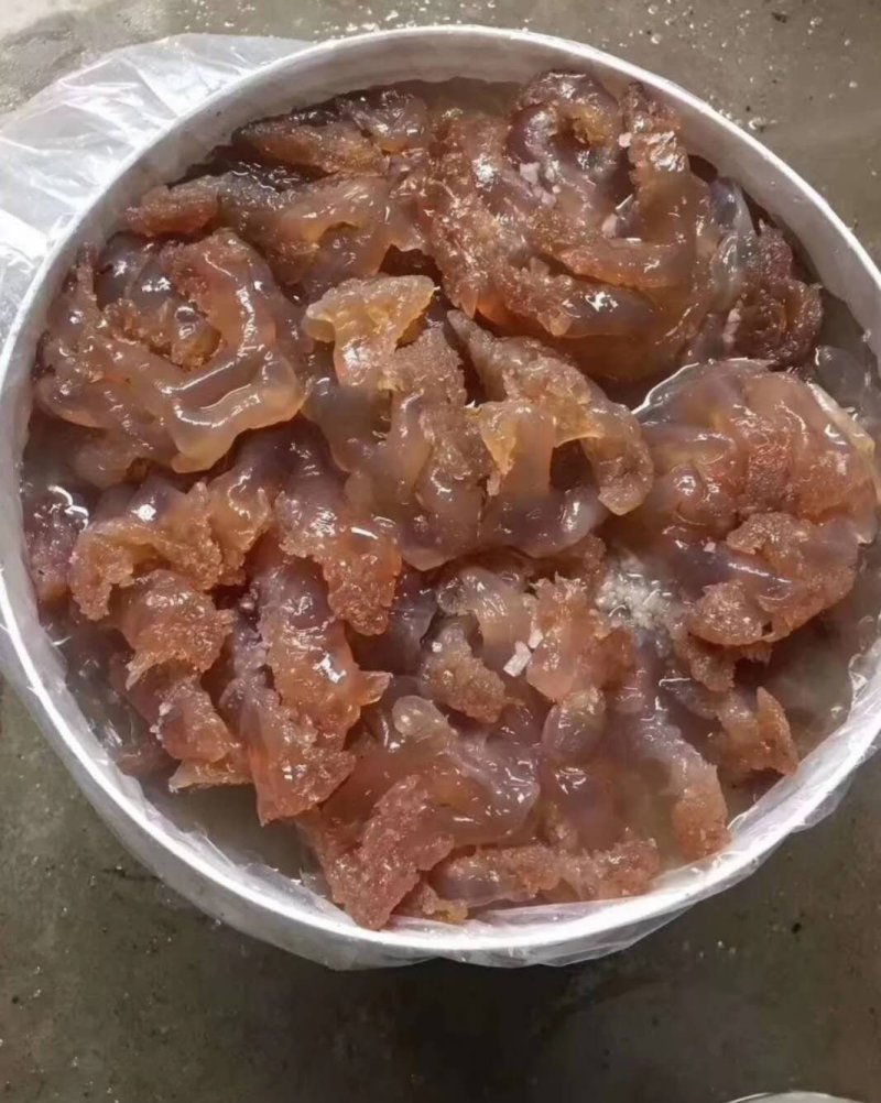 各种海蜇，海蜇皮，海蜇丝