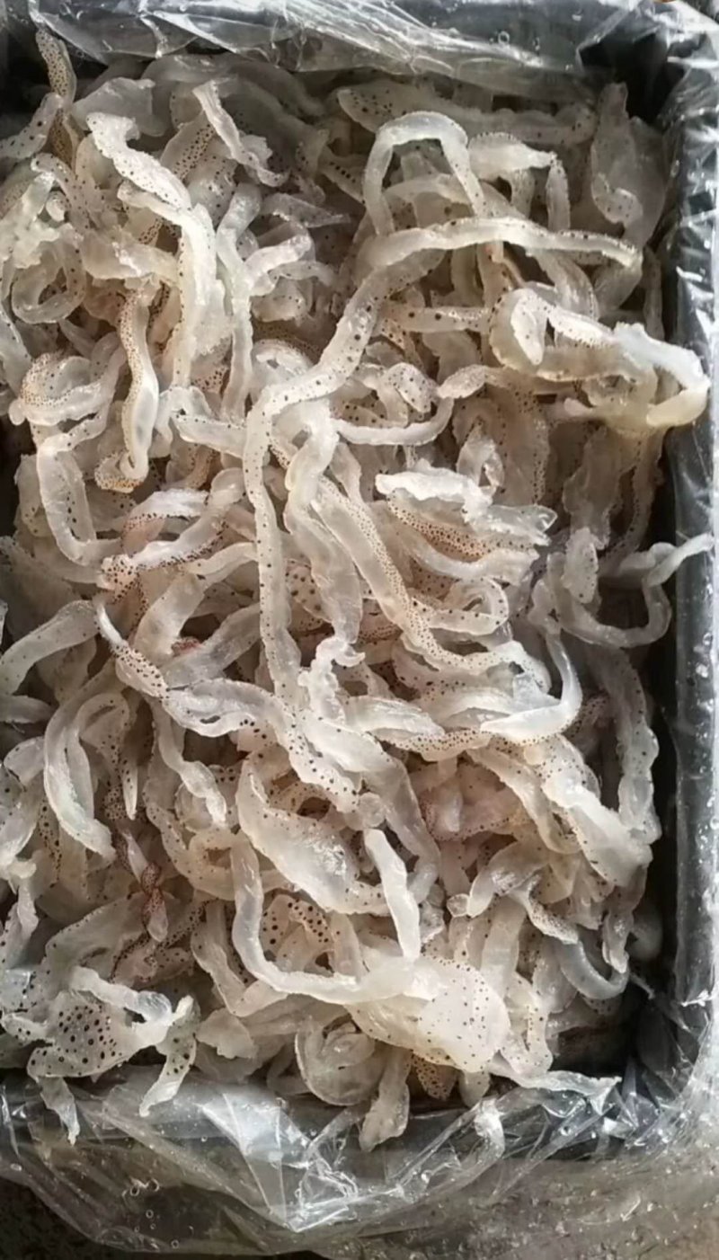 各种海蜇，海蜇皮，海蜇丝