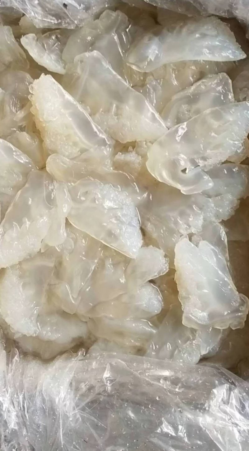 各种海蜇，海蜇皮，海蜇丝