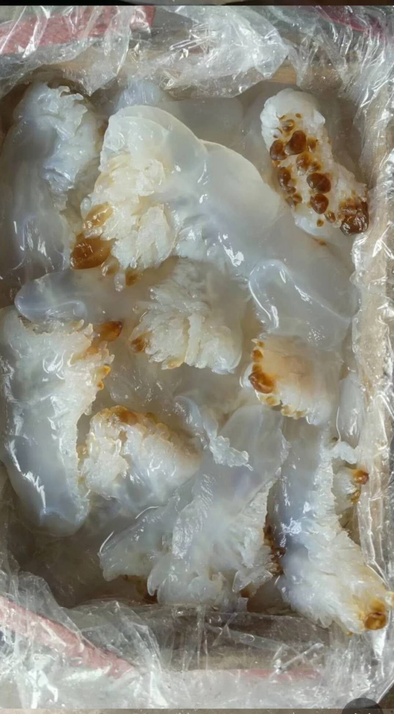 各种海蜇，海蜇皮，海蜇丝