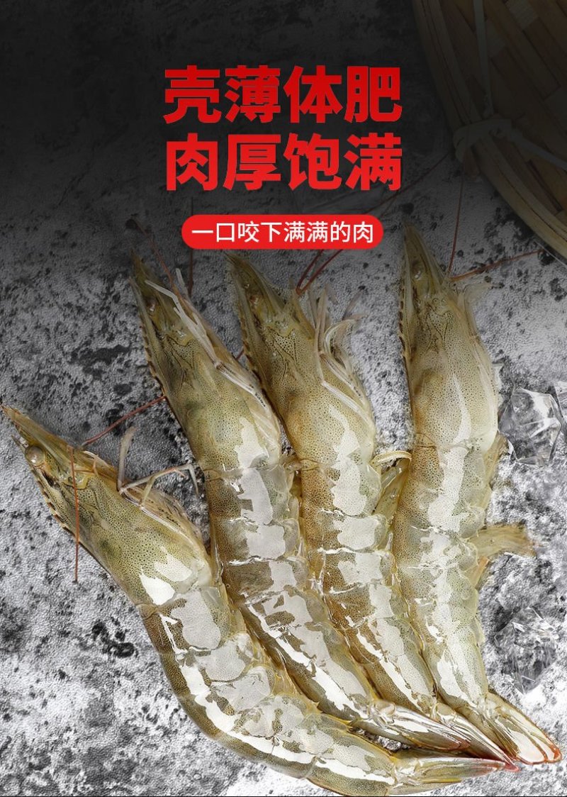 4斤水产海鲜大虾一箱鲜活新鲜海虾活体对虾基围虾白虾非青岛