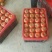 甘肃张掖大棚西红柿硬果大红品质保证